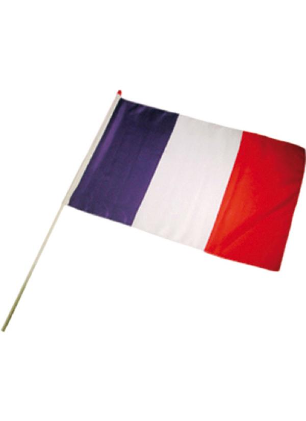 Drapeau France 30X45 cm