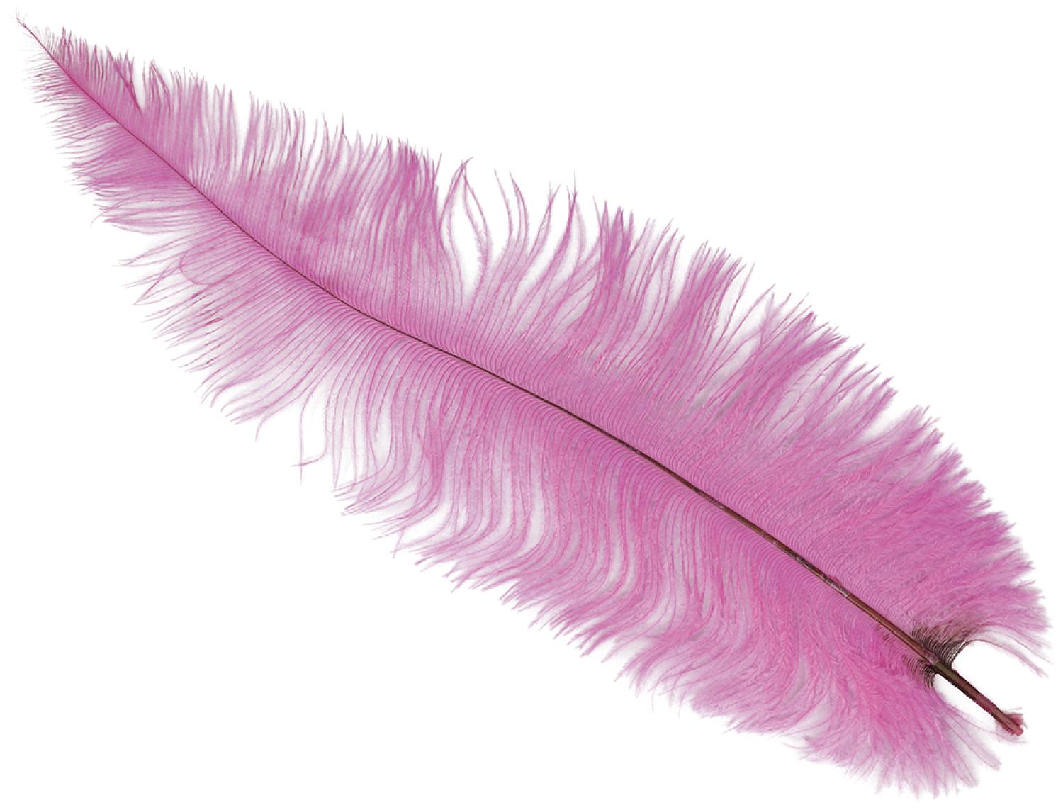 Plume queue d'autruche rose ou fuchsia 30/40 cm