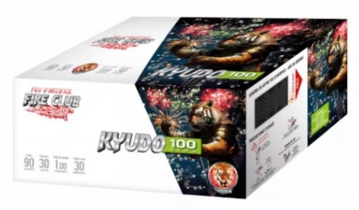 1 feu automatique Pyragric Kyudo 100 coups livré chez vous !