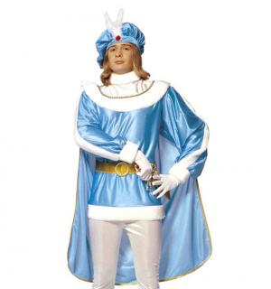 Prince charmant bleu taille L
