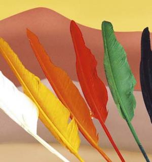 Plume indien couleur