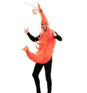 Crevette adulte taille M/L