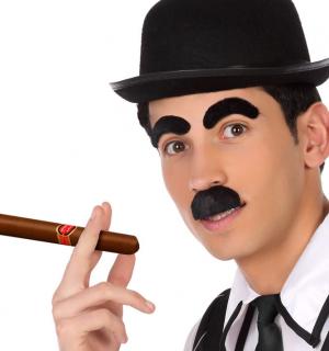 Moustaches Dalton