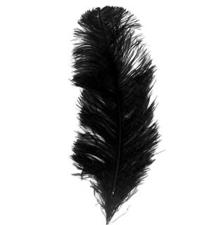 Plume queue d'autruche noire 28/32cm
