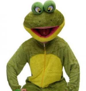 Grenouille à grosse tête