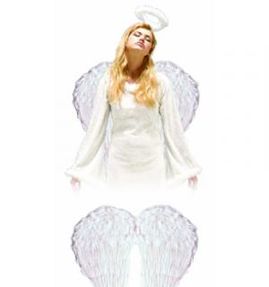 Ailes d'ange plumes blanches géantes 65 cm