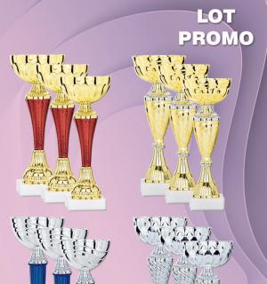 Lot de 12 coupes 9005 hauteur moyenne 21cm livré
