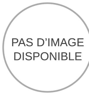 Déguisement effet réaliste zombie imprimé Fast Costume intégral taille M