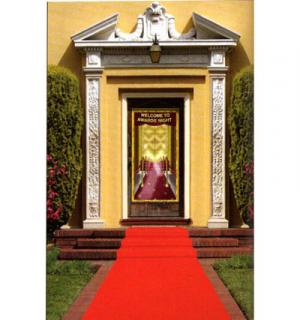 Tapis rouge 1x15m