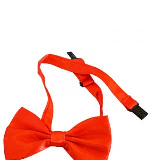 Noeud papillon rouge