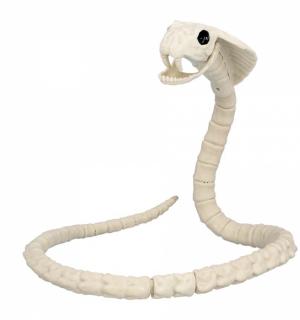 Squelette de serpent