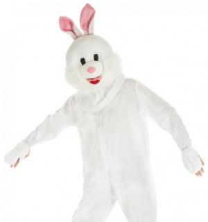 Lapin blanc à grosse tête