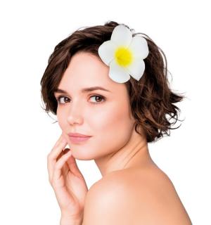 Lot de 2 fleurs de frangipanier pour cheveux