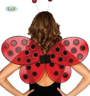 Ailes coccinelle 