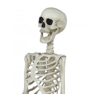 Squelette réaliste articulé plastique 90 cm