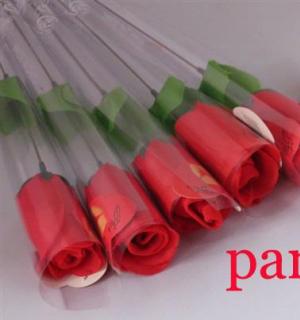 Rose string rouge